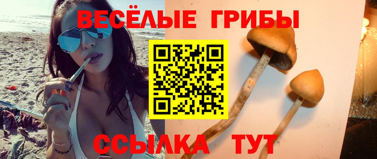 Кольчугино  Псилоцибиновые грибы мицелий  Вход с VPN 